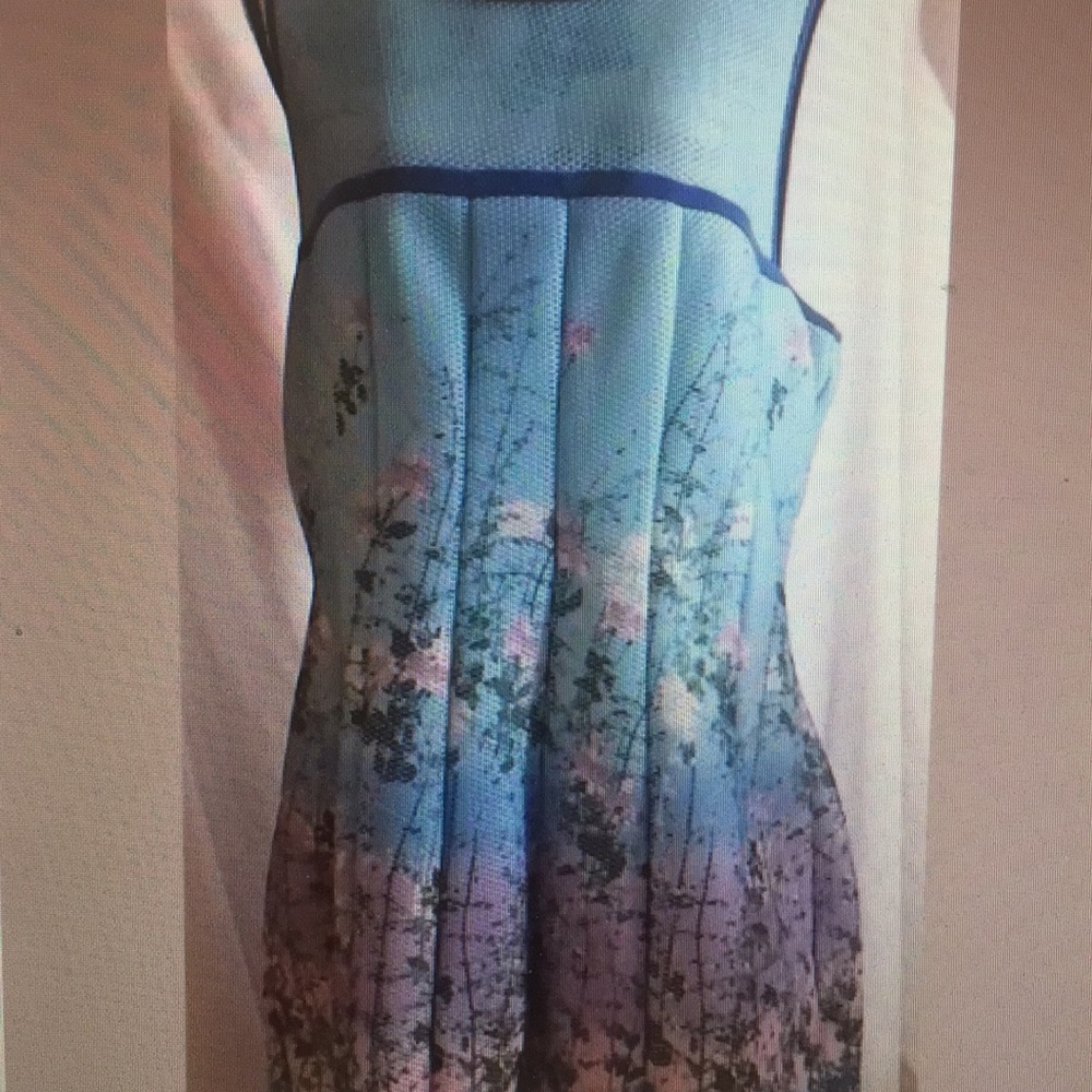 Gabby Skye Wild Garden blue dress